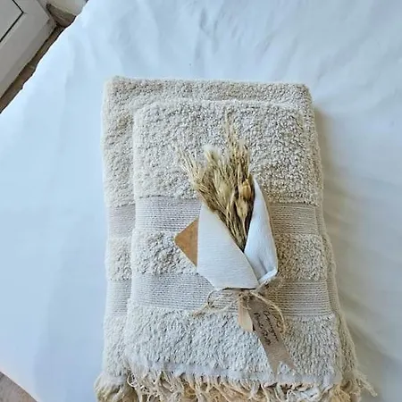 Prestige Florent- Piscine Avc Vue 4*